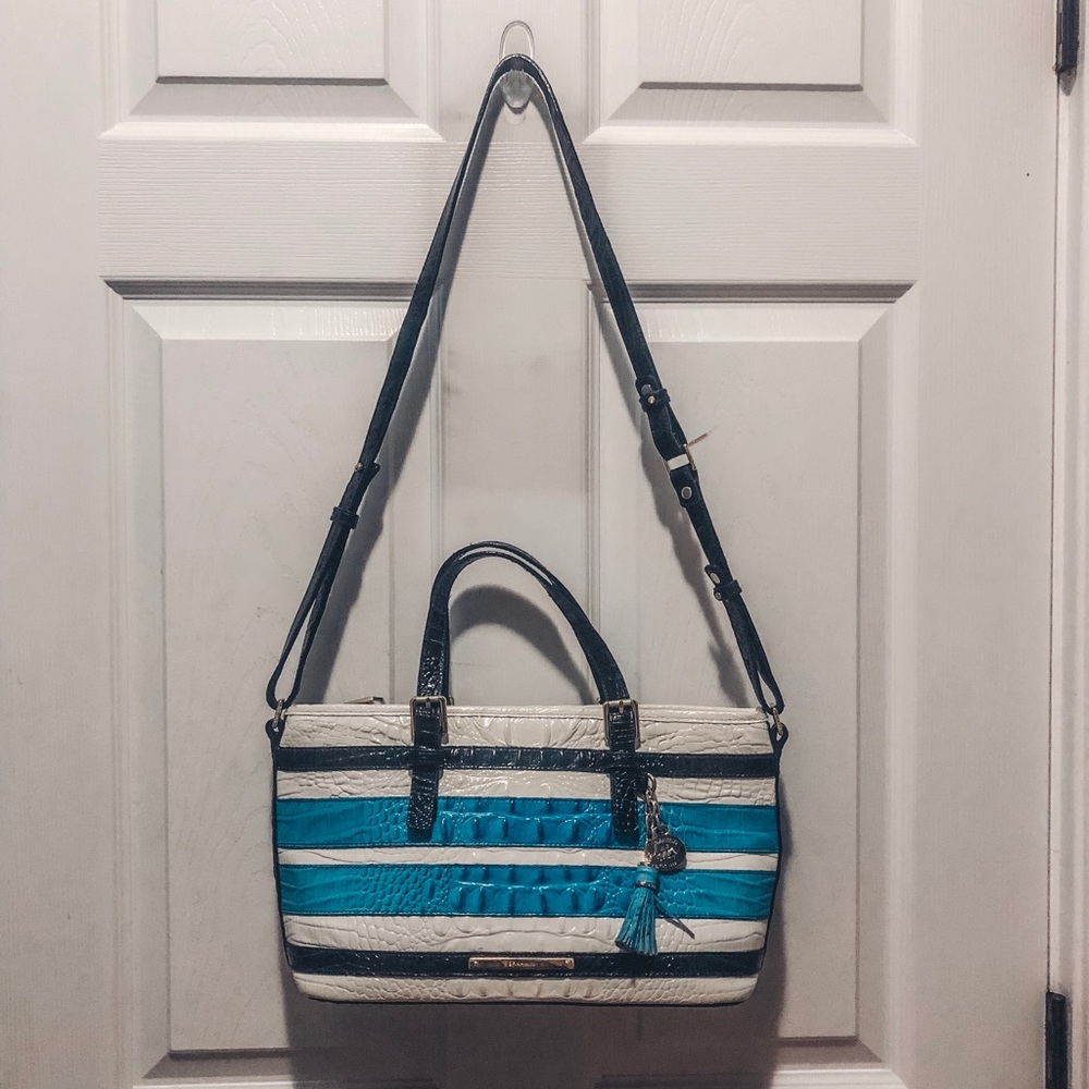Beautiful Brahmin designer bag